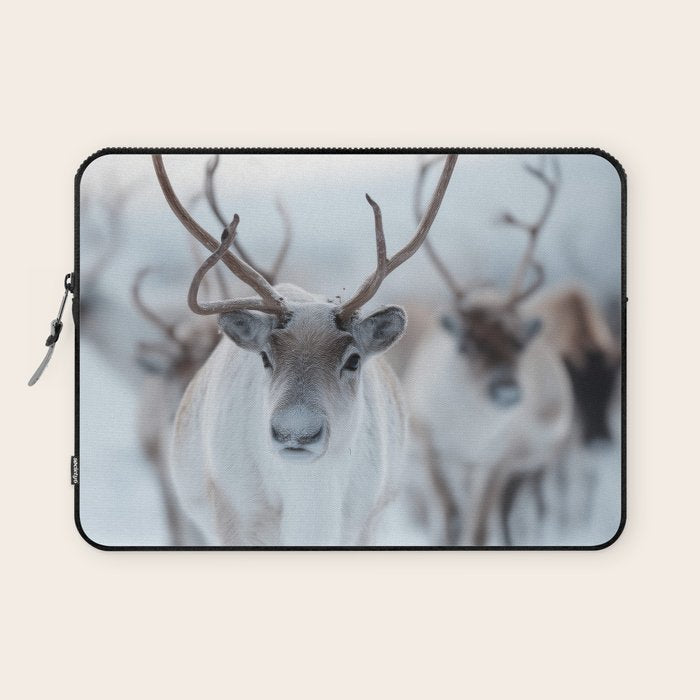 Reindeer in the Snow - Nordic Wildlife Photography Print Laptop Sleeve Gallery Image 1