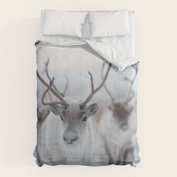 Reindeer in the Snow - Nordic Wildlife Photography Print Comforter Gallery Image 1