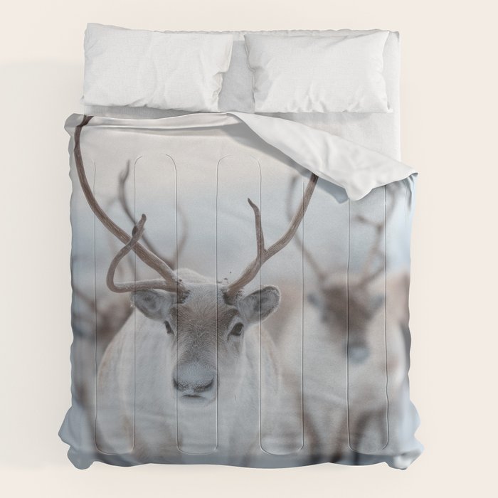 Reindeer in the Snow - Nordic Wildlife Photography Print Comforter Gallery Image 2