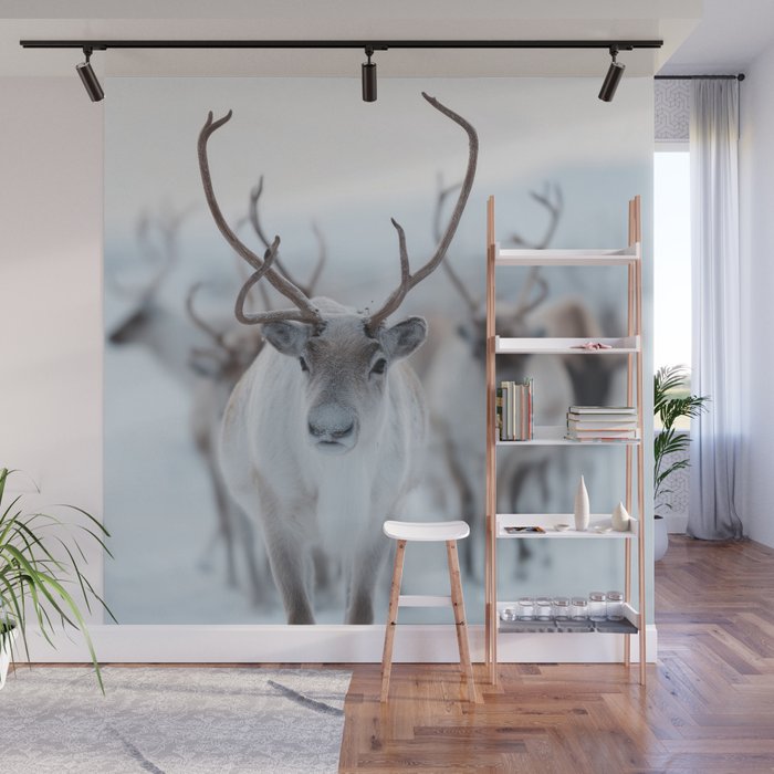 Reindeer in the Snow - Nordic Wildlife Photography Print Wall Mural Gallery Image 1