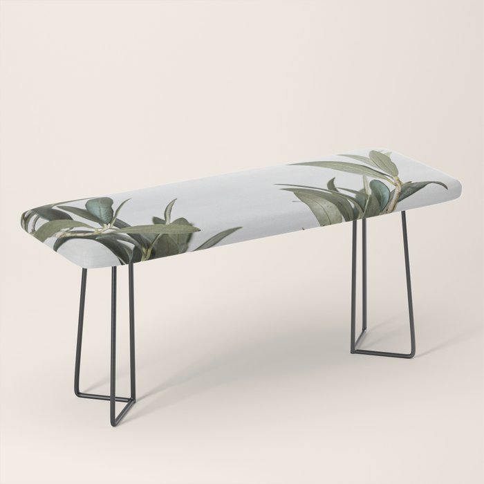 Green Olive Tree Leaves Photo | Botanical Spain Art Print Tenerife Island Nature Travel Photography Bench Gallery Image 1