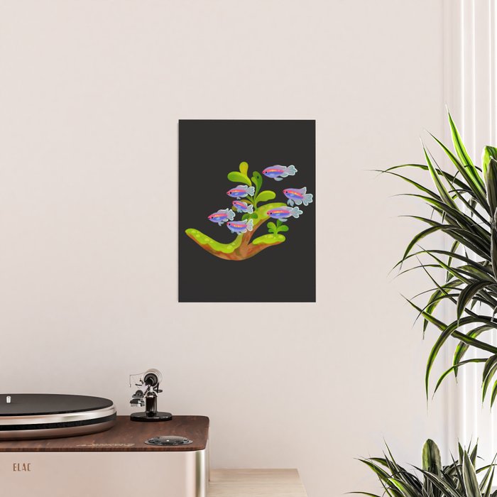 Freshwater fish and plants 1 Poster Gallery Image 2