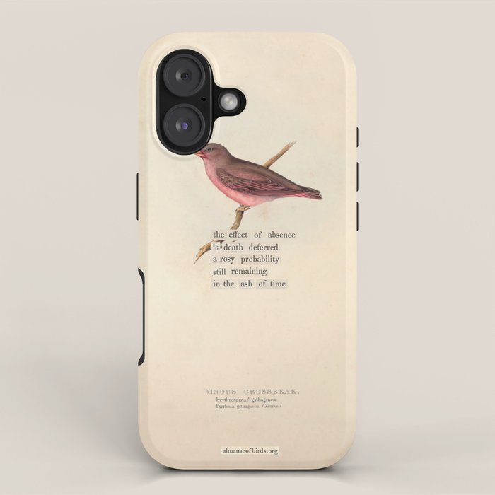 Bird Divinations: Vinous Grosbeak (about: almanacofbirds.org) iPhone Case Gallery Image 1