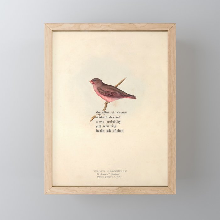 Bird Divinations: Vinous Grosbeak (about: almanacofbirds.org) Mini Art Print Gallery Image 1