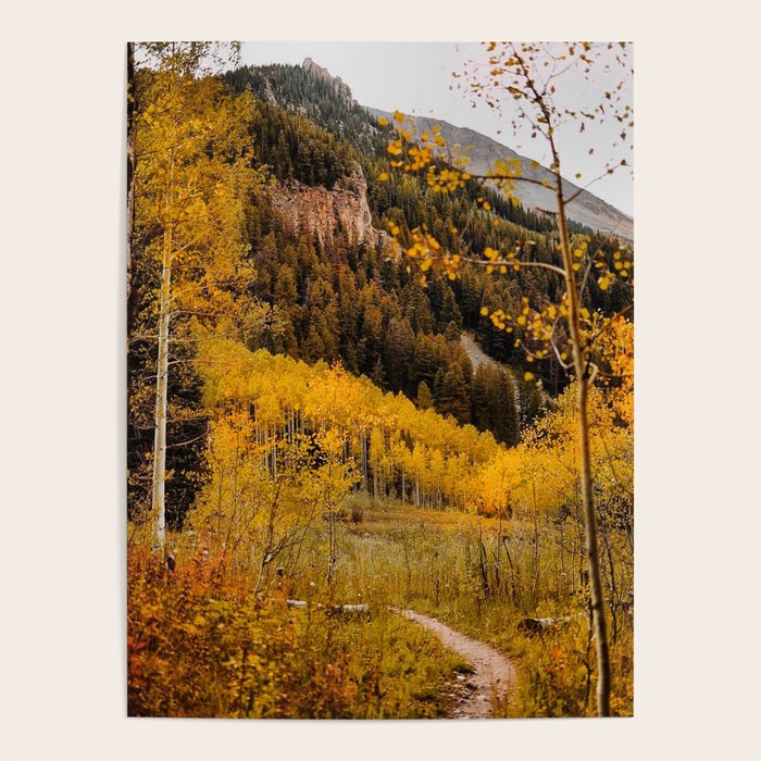 Autumn in Aspen Poster Gallery Image 4