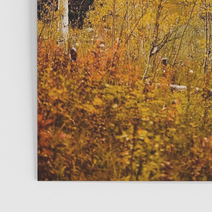 Autumn in Aspen Poster Gallery Image 3