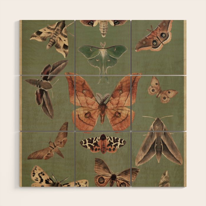 Night butterflies Wood Wall Art Gallery Image 1