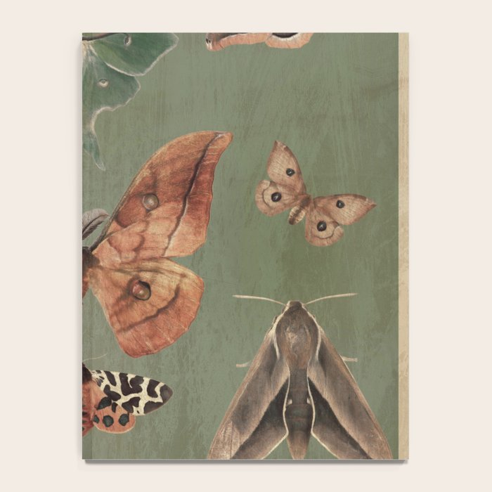 Night butterflies Notebook Gallery Image 4