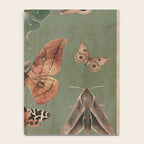Night butterflies Notebook Gallery Image 4