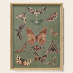 Night butterflies Serving Tray Gallery Image 1