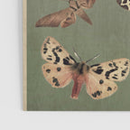 Night butterflies Poster Gallery Image 3