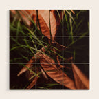 Shelter Wood Wall Art Gallery Image 1
