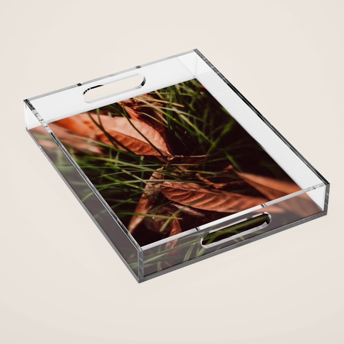 Shelter Acrylic Tray Gallery Image 1