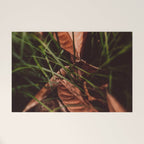 Shelter Welcome Mat Gallery Image 1