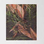 Shelter Throw Blanket Gallery Image 2