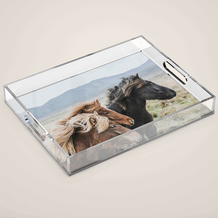 Thingeyrar, Iceland Acrylic Tray Gallery Image 1