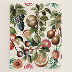 Fruitful Florals, Vintage Prints Food Jigsaw Puzzle Gallery Image 1