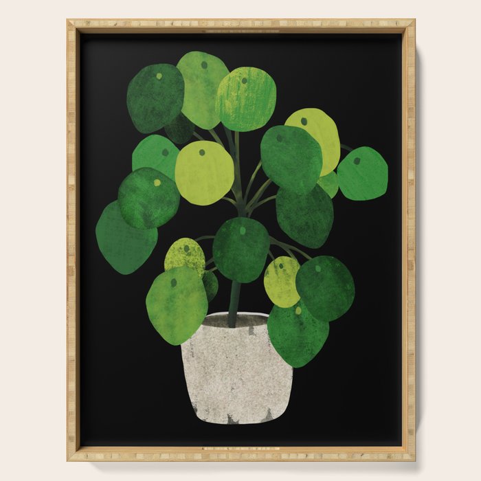 Black Pliea Peperonioides interior plant Serving Tray Gallery Image 1