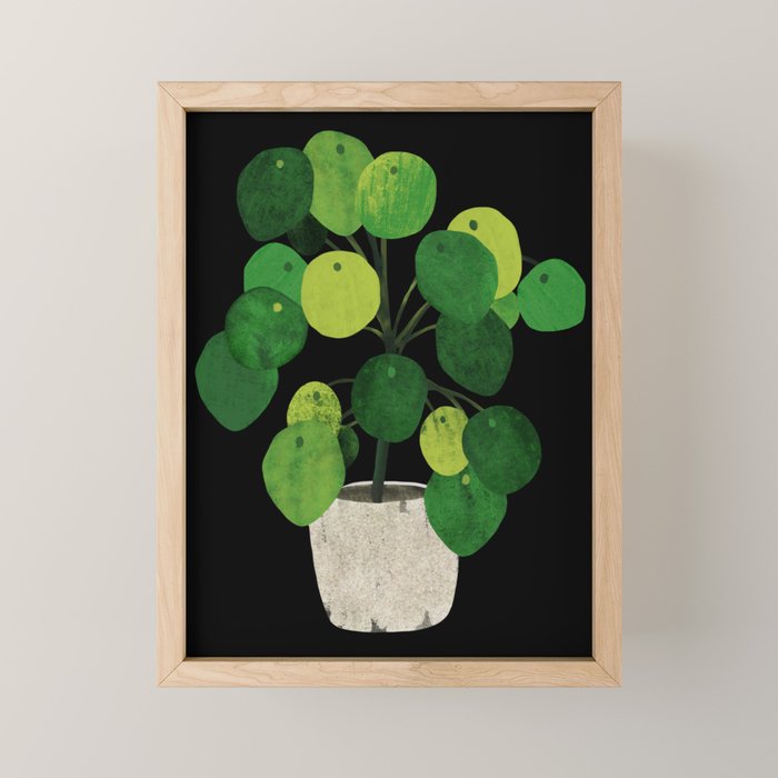 Black Pliea Peperonioides interior plant Mini Art Print Gallery Image 1