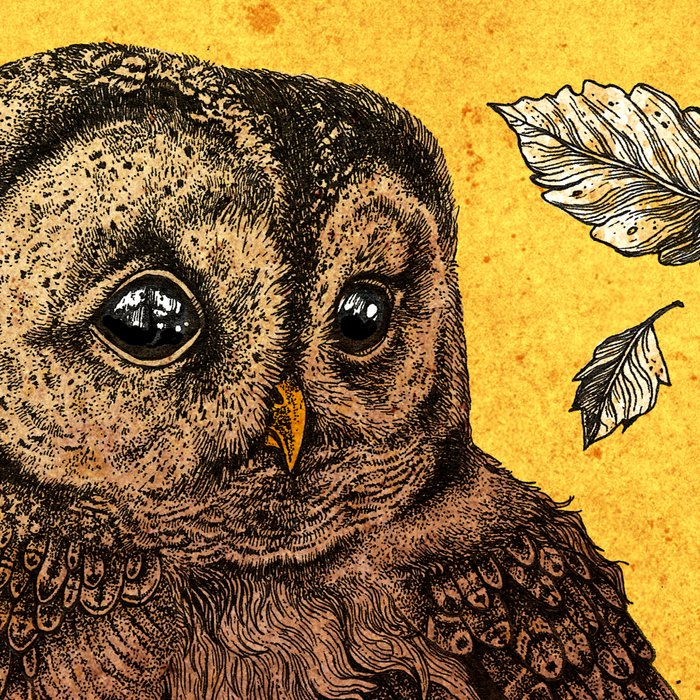 Tawny Owl Yellow Coffee Mug Gallery Image 2