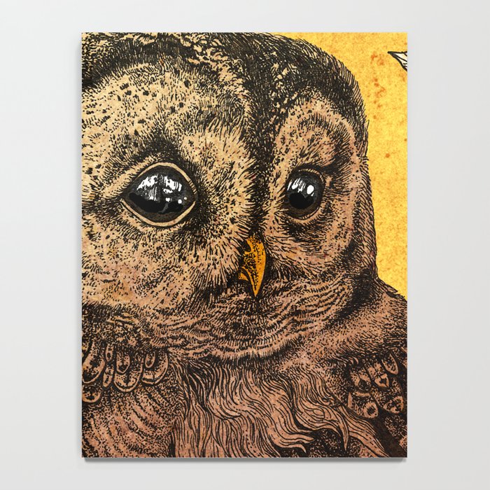 Tawny Owl Yellow Notebook Gallery Image 4