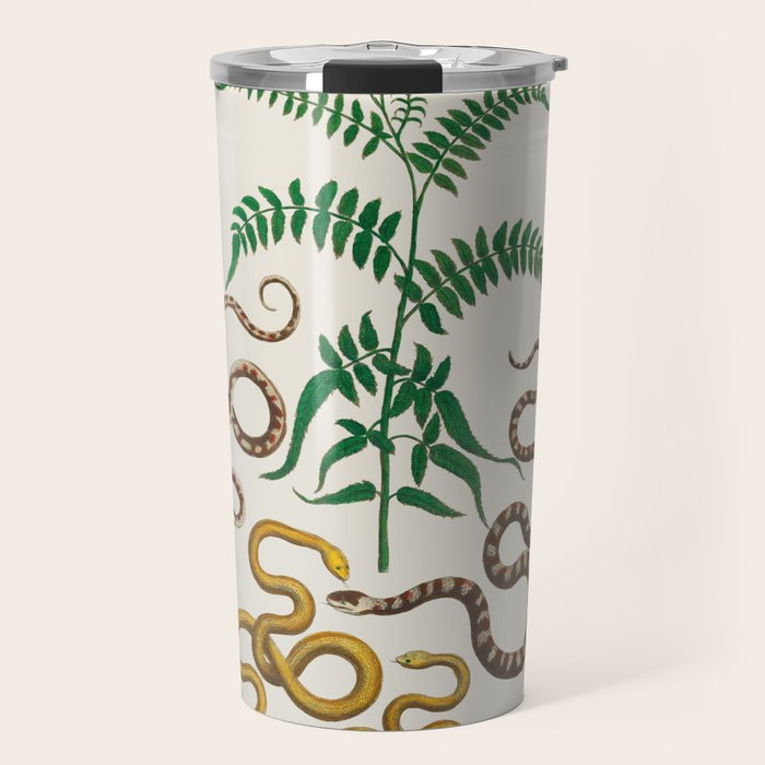 Vipers Aspis hugyi Serpentes Shinus molle Poster Print by Albertus SEBA Travel Mug Gallery Image 1