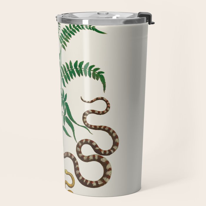 Vipers Aspis hugyi Serpentes Shinus molle Poster Print by Albertus SEBA Travel Mug Gallery Image 2