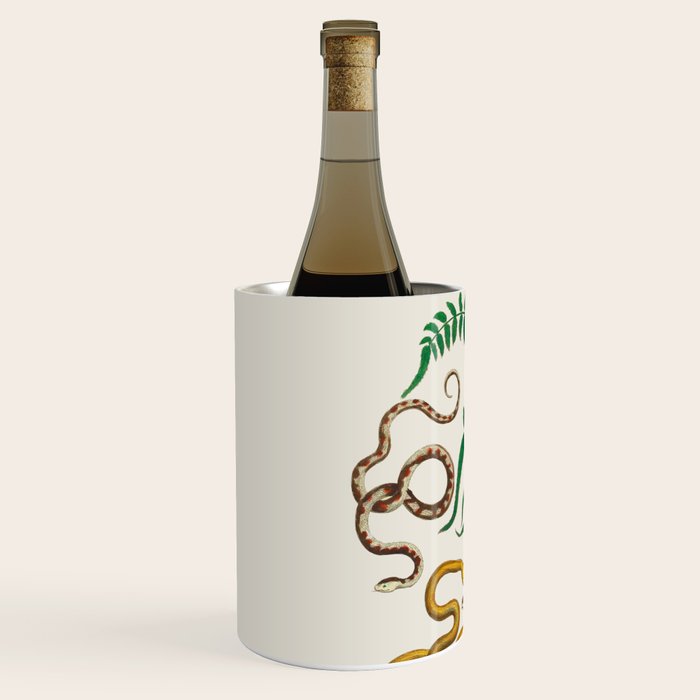 Vipers Aspis hugyi Serpentes Shinus molle Poster Print by Albertus SEBA Wine Chiller Gallery Image 2