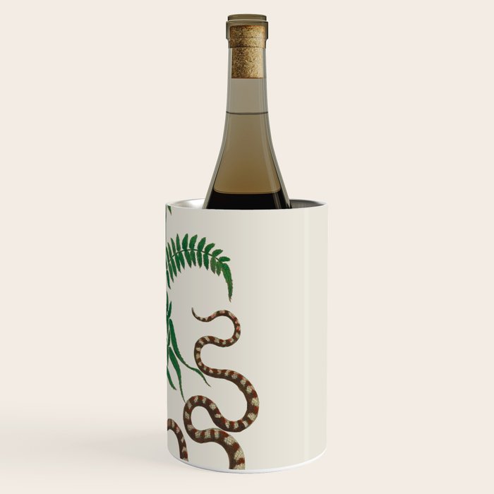 Vipers Aspis hugyi Serpentes Shinus molle Poster Print by Albertus SEBA Wine Chiller Gallery Image 3