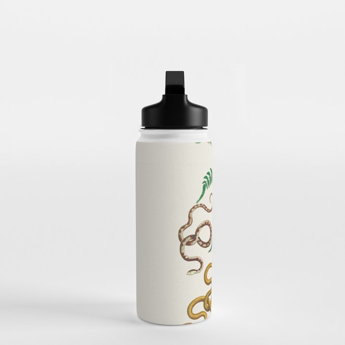 Vipers Aspis hugyi Serpentes Shinus molle Poster Print by Albertus SEBA Water Bottle Gallery Image 3