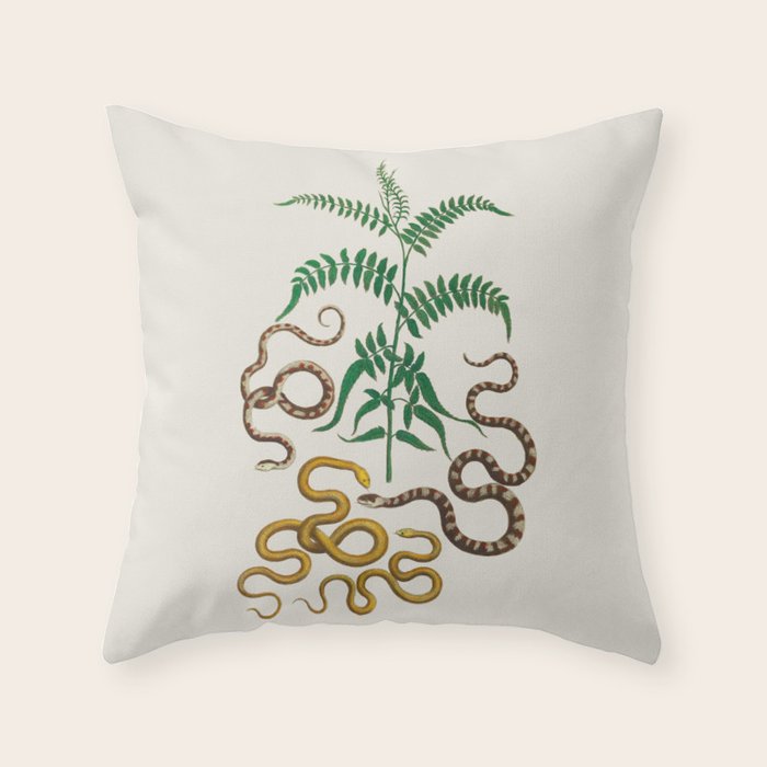 Vipers Aspis hugyi Serpentes Shinus molle Poster Print by Albertus SEBA Throw Pillow Gallery Image 6