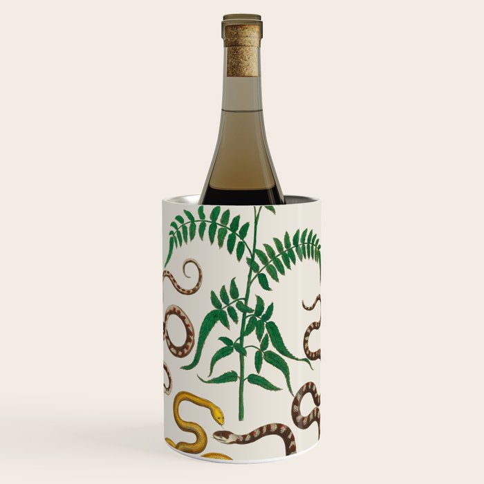 Vipers Aspis hugyi Serpentes Shinus molle Poster Print by Albertus SEBA Wine Chiller Gallery Image 1