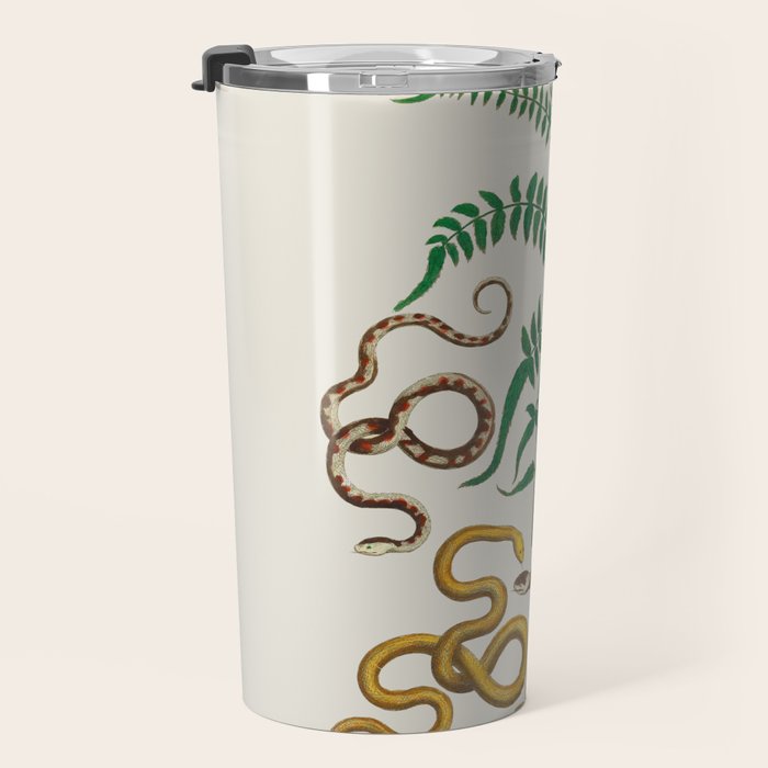 Vipers Aspis hugyi Serpentes Shinus molle Poster Print by Albertus SEBA Travel Mug Gallery Image 3