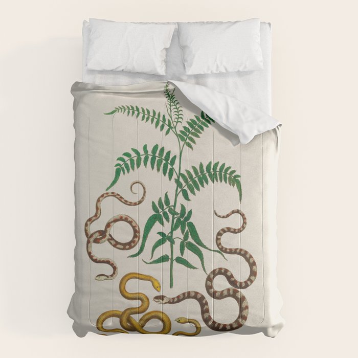 Vipers Aspis hugyi Serpentes Shinus molle Poster Print by Albertus SEBA Comforter Gallery Image 6