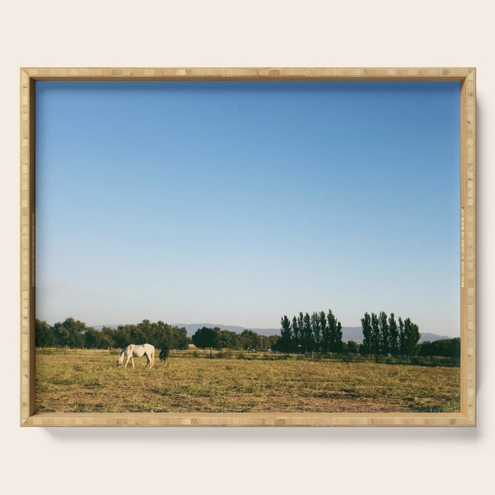 HORSES IN CALIFORNIA Serving Tray Gallery Image 1