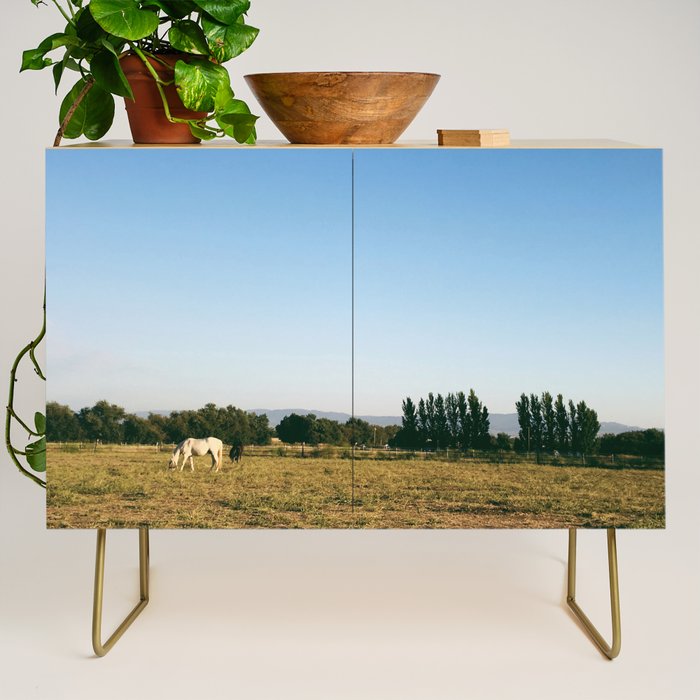 HORSES IN CALIFORNIA Credenza Gallery Image 1