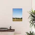 HORSES IN CALIFORNIA Poster Gallery Image 2