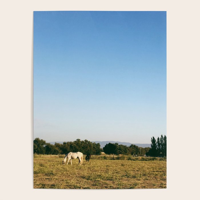 HORSES IN CALIFORNIA Poster Gallery Image 1