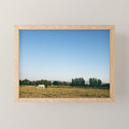 HORSES IN CALIFORNIA Mini Art Print Gallery Image 1