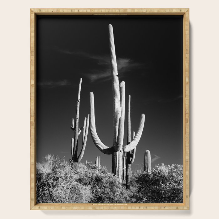 Black and White Saguaro Cactus Photo Serving Tray Gallery Image 1