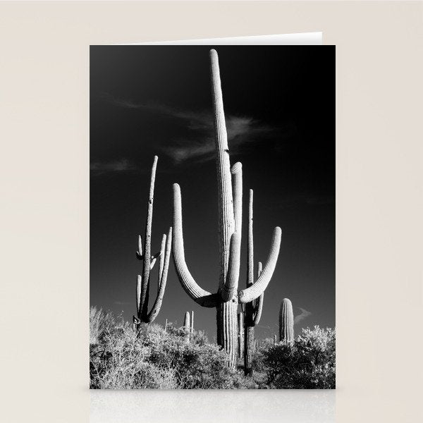 Black and White Saguaro Cactus Photo Stationery Card Gallery Image 1