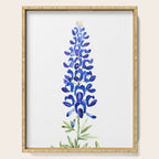 Texas bluebonnet in watercolor Serving Tray Gallery Image 1