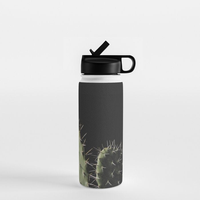Cactus Water Bottle Gallery Image 1