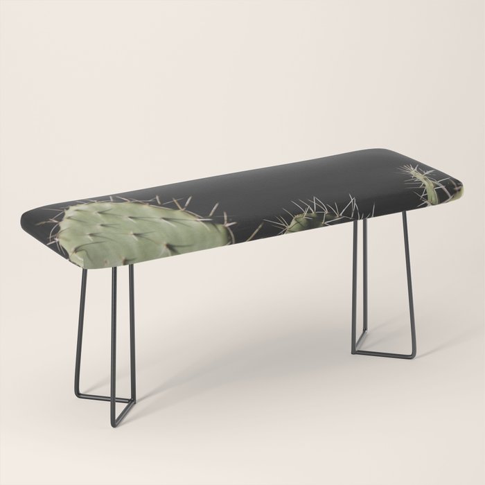 Cactus Bench Gallery Image 1