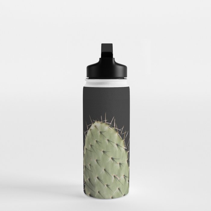 Cactus Water Bottle Gallery Image 3