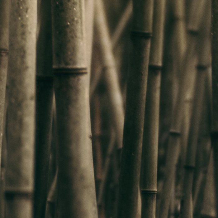 Bamboo Study Coffee Mug Gallery Image 2
