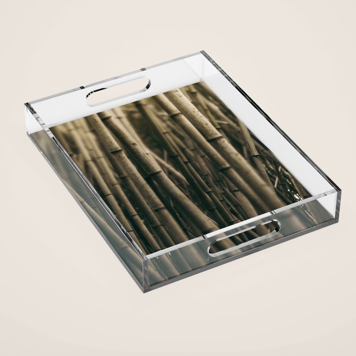 Bamboo Study Acrylic Tray Gallery Image 1