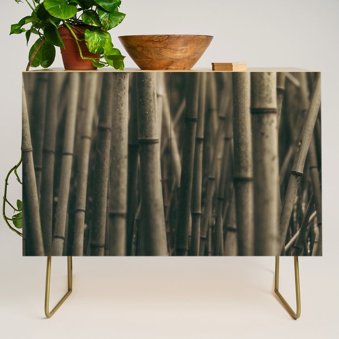 Bamboo Study Credenza Gallery Image 1