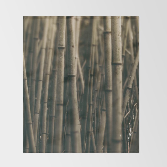 Bamboo Study Throw Blanket Gallery Image 2