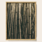 Bamboo Study Serving Tray Gallery Image 1